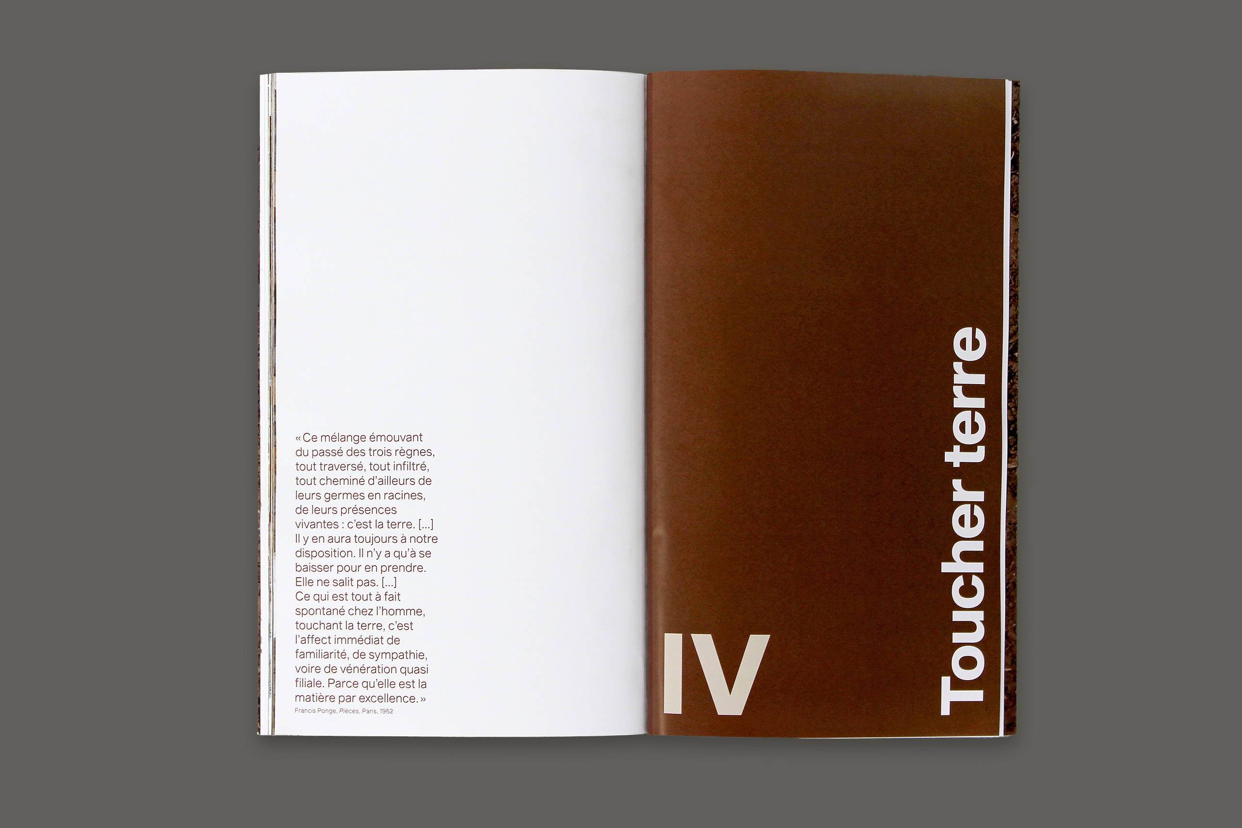 Des foules gris4.xlarge