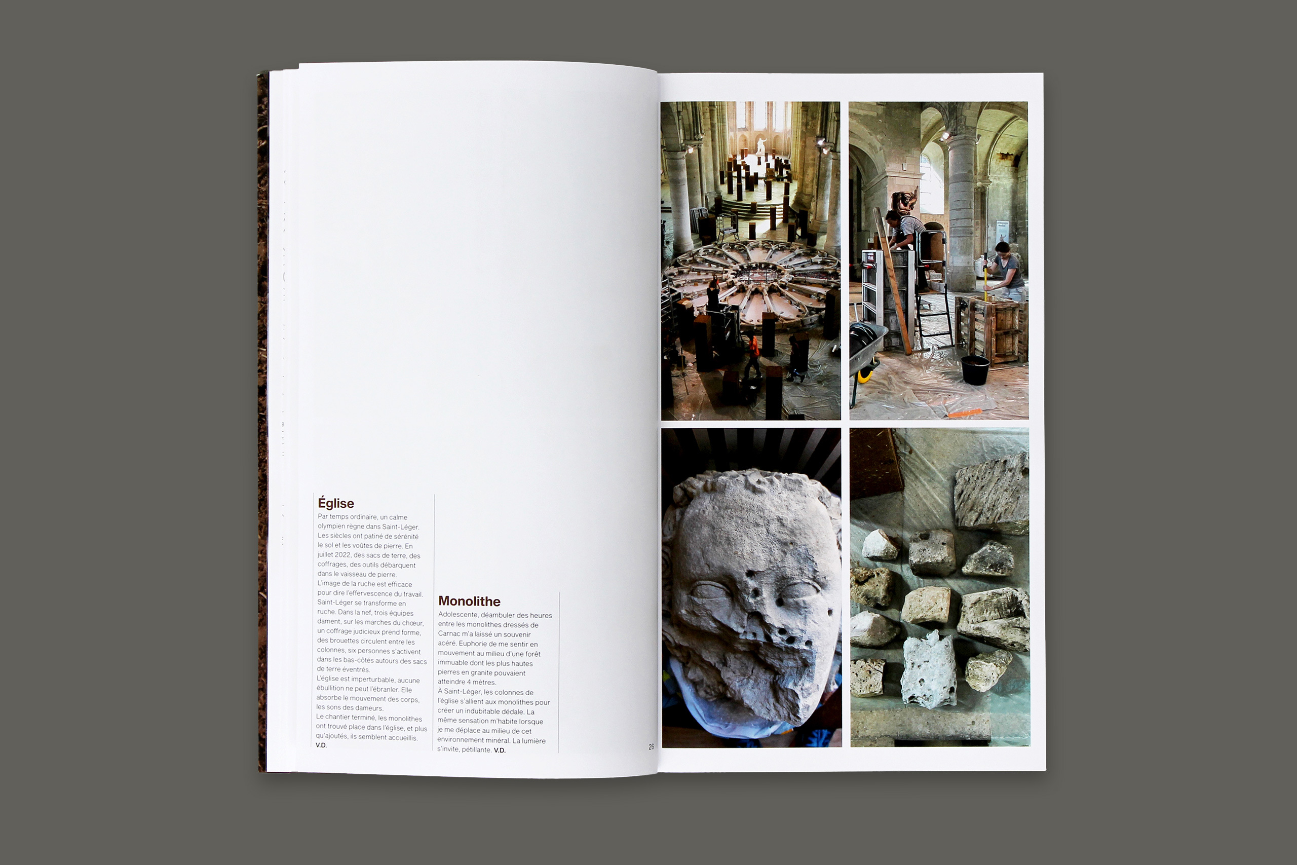 Des foules gris6.xlarge