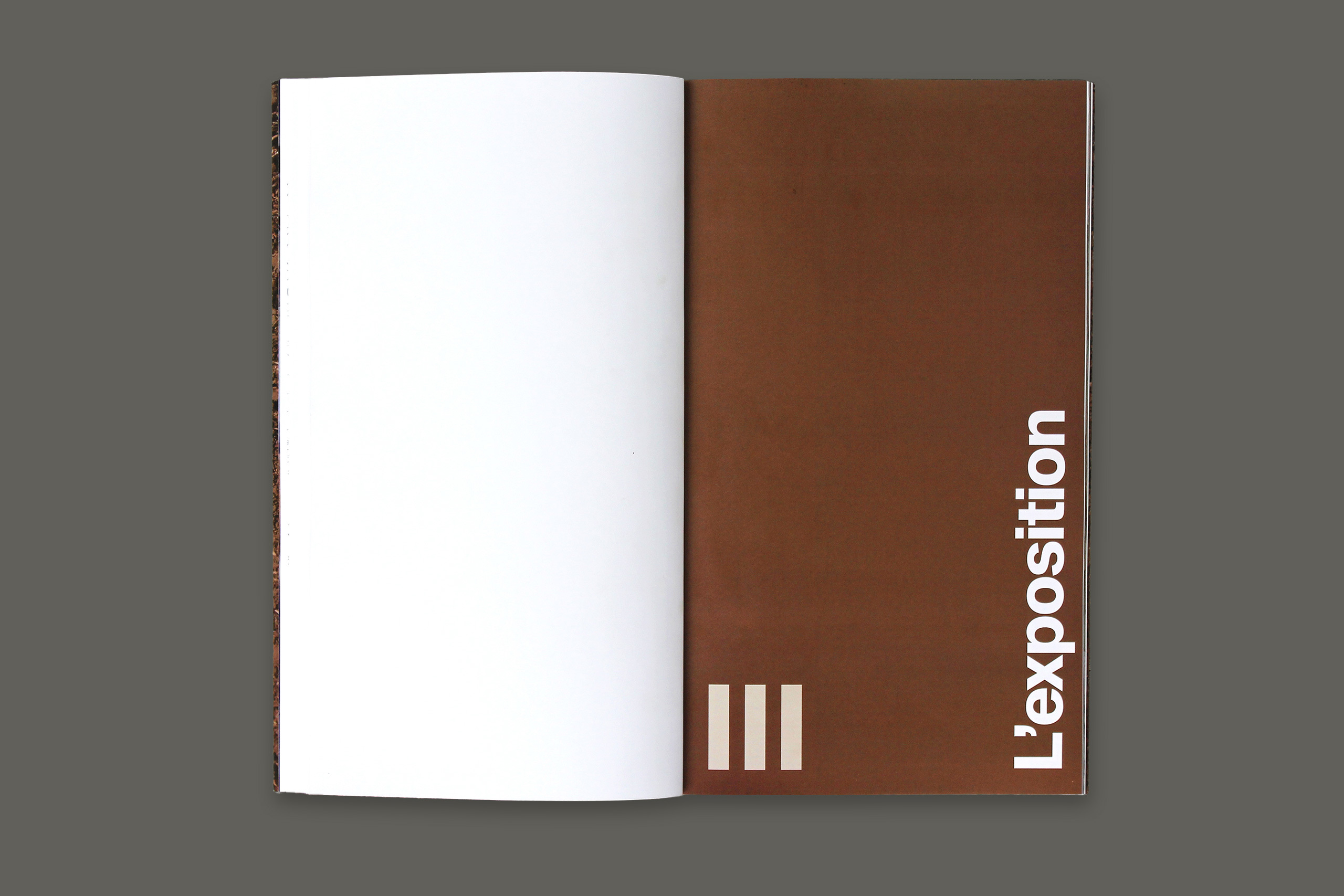 Des foules gris7.xlarge