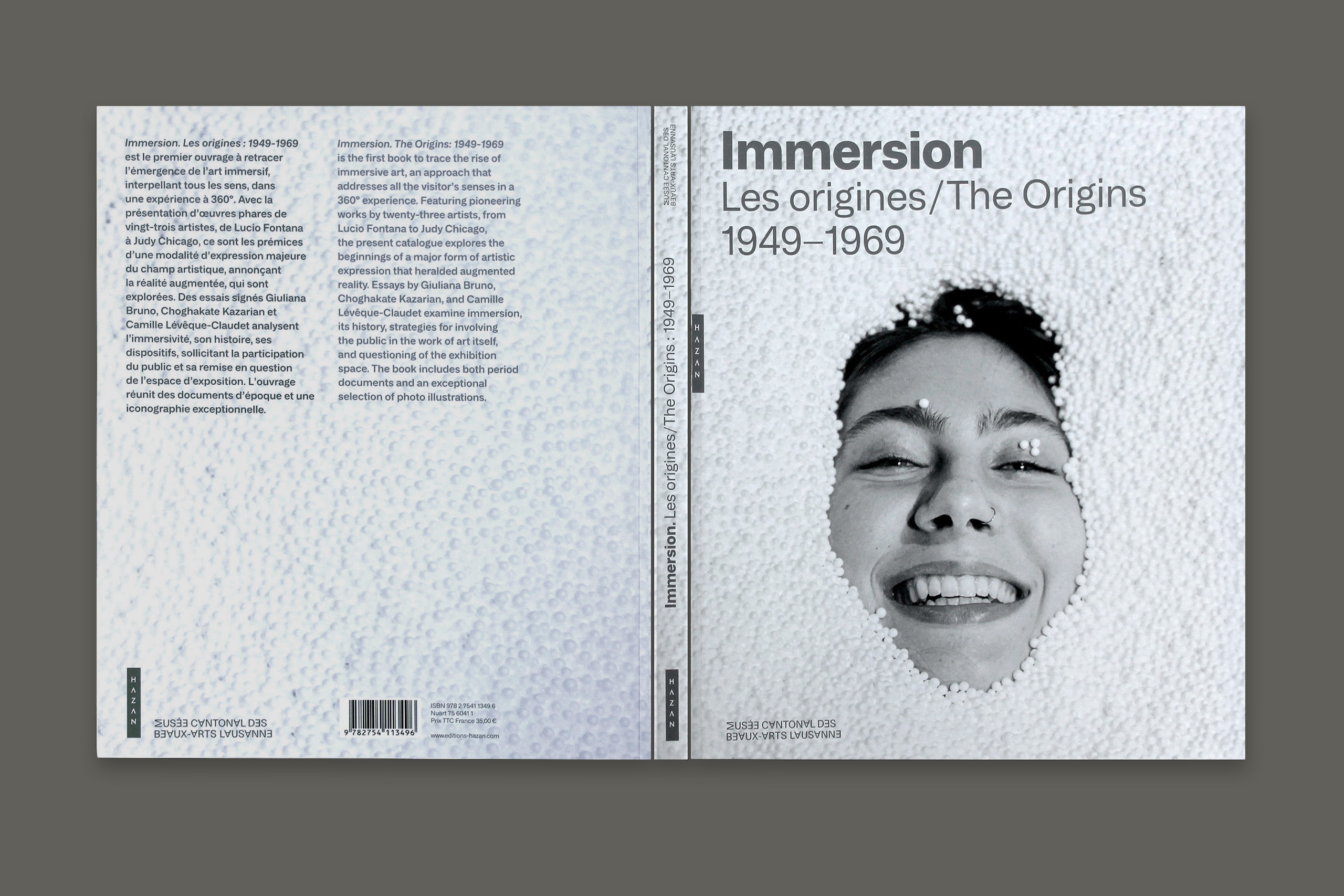 Immersion gris1.xlarge