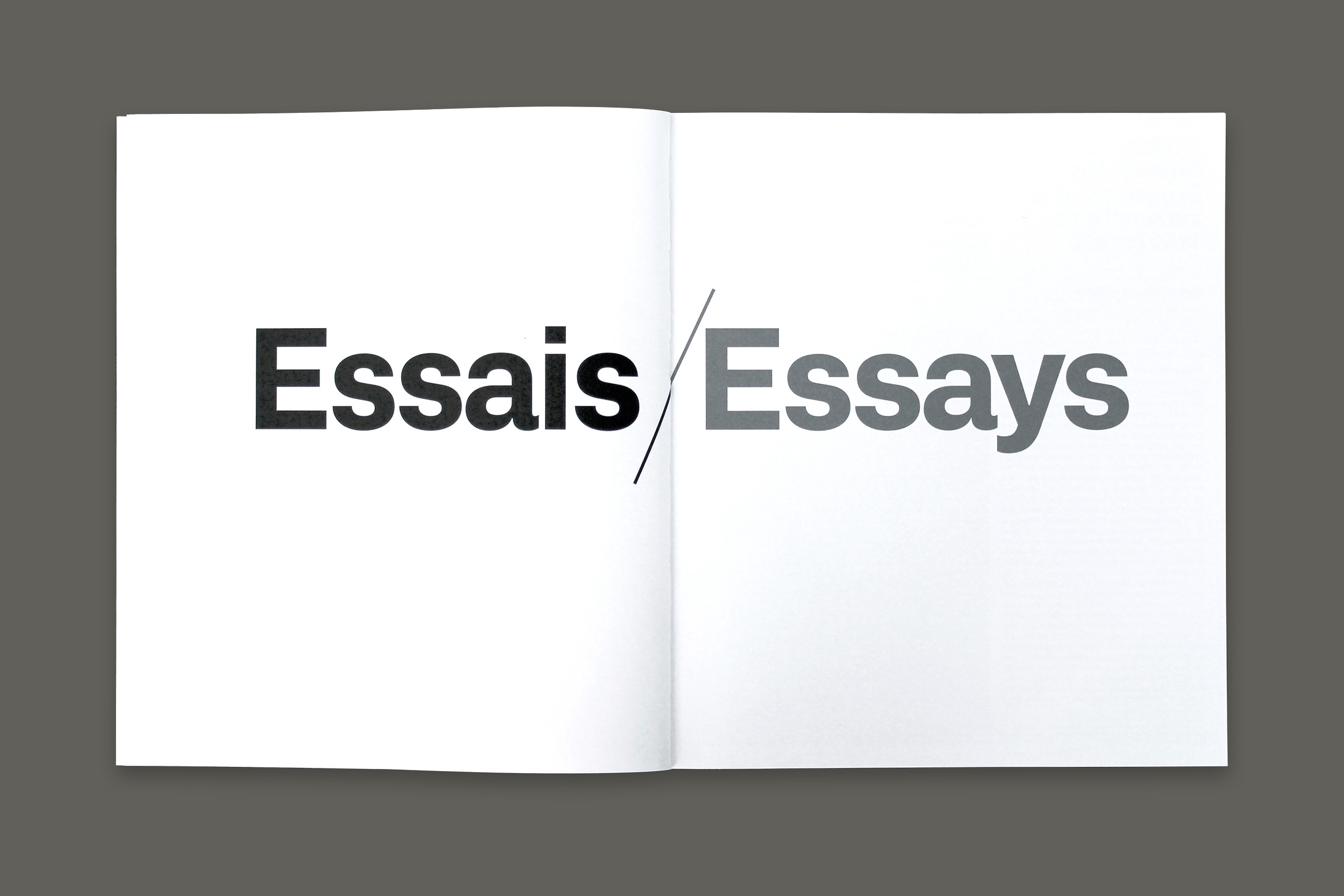 Immersion gris2.xlarge