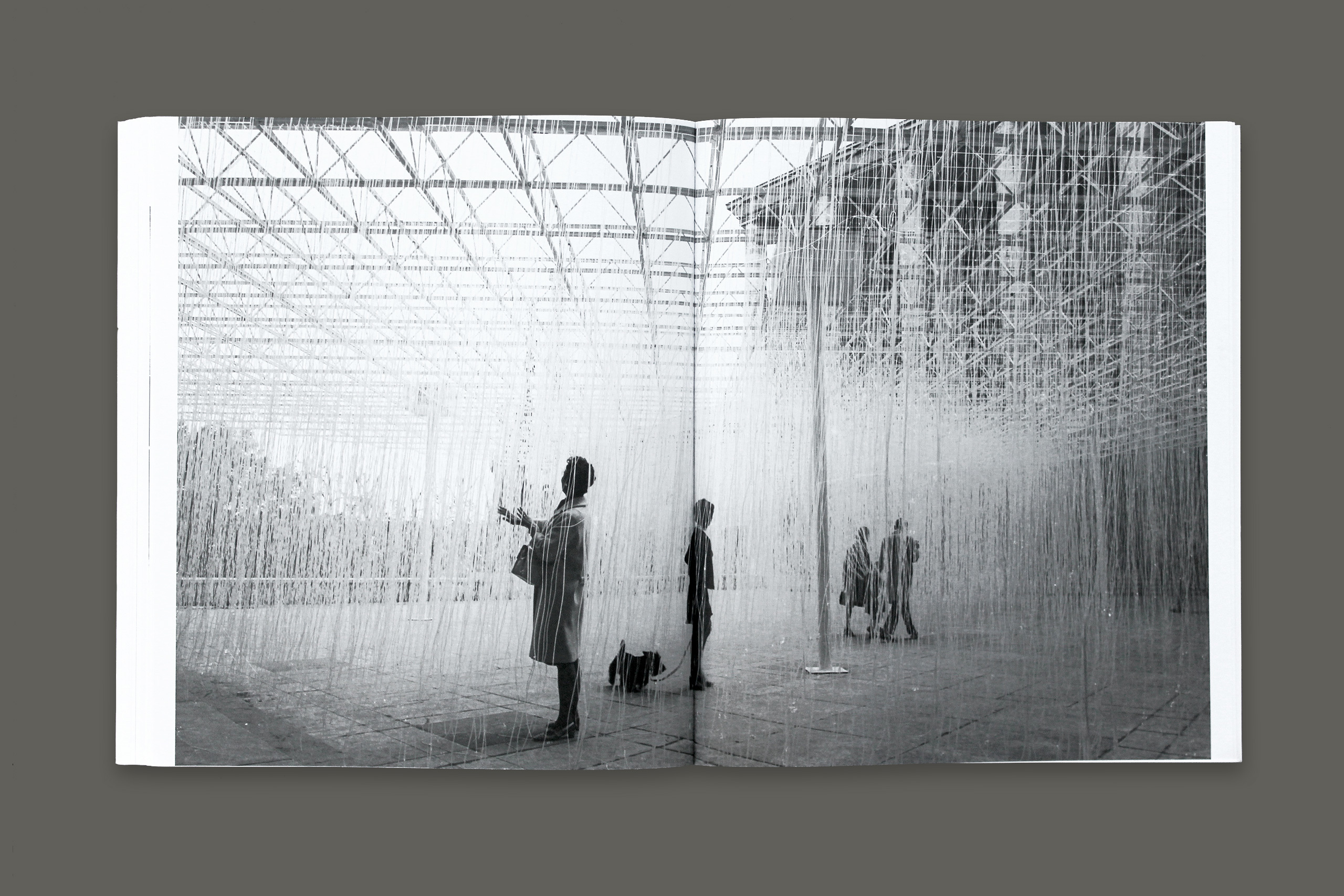 Immersion gris6.xlarge