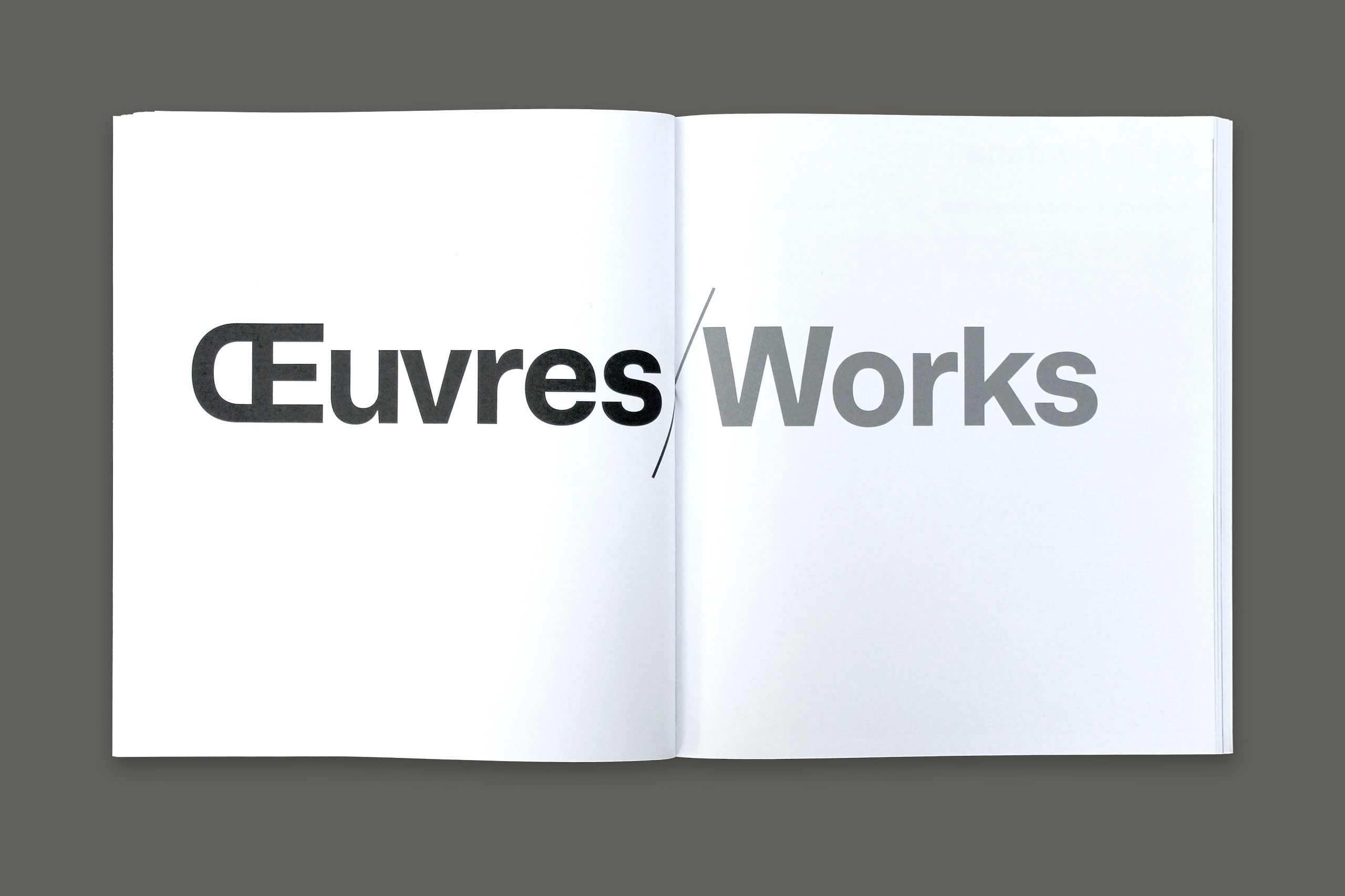 Immersion gris8.xlarge