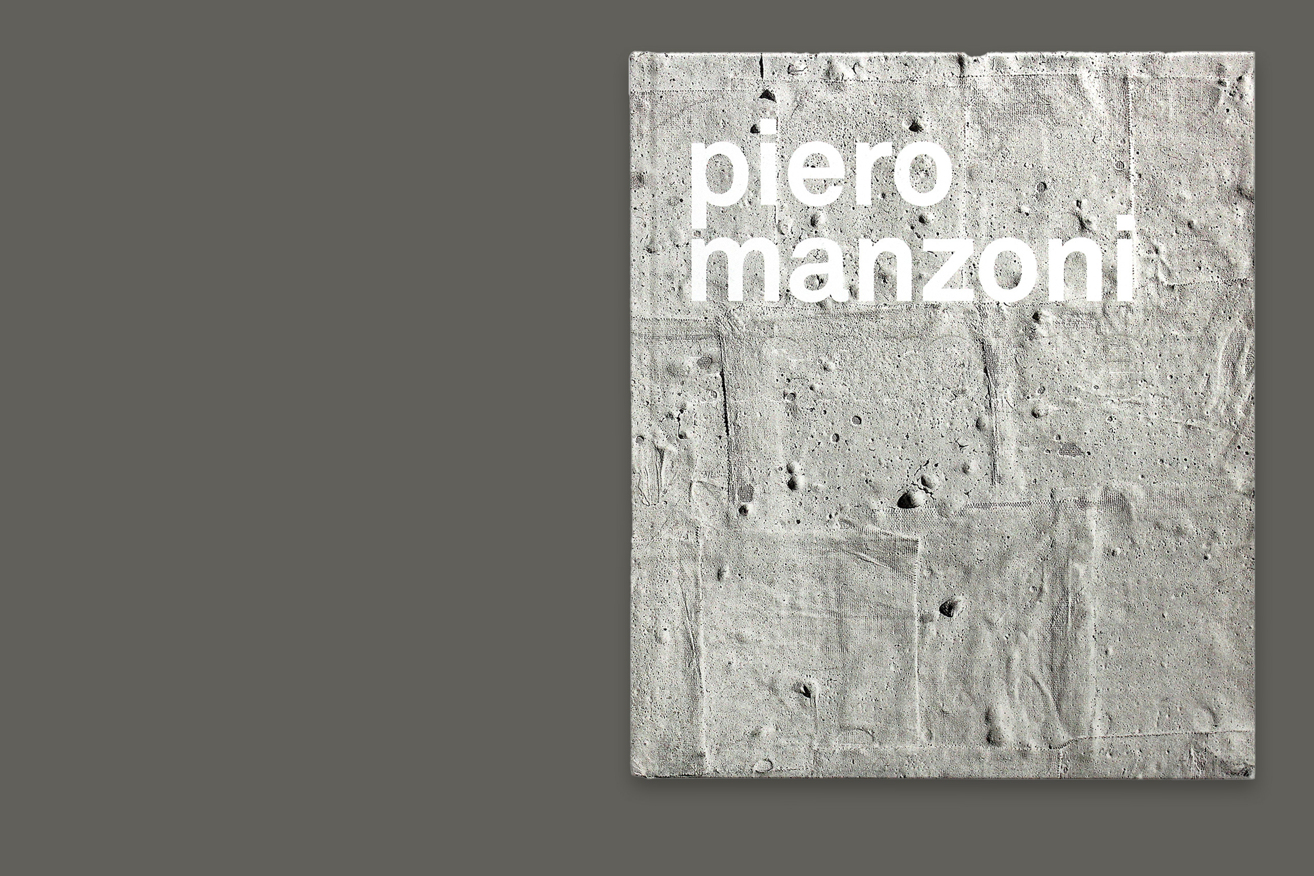 Manzoni gris1.xlarge