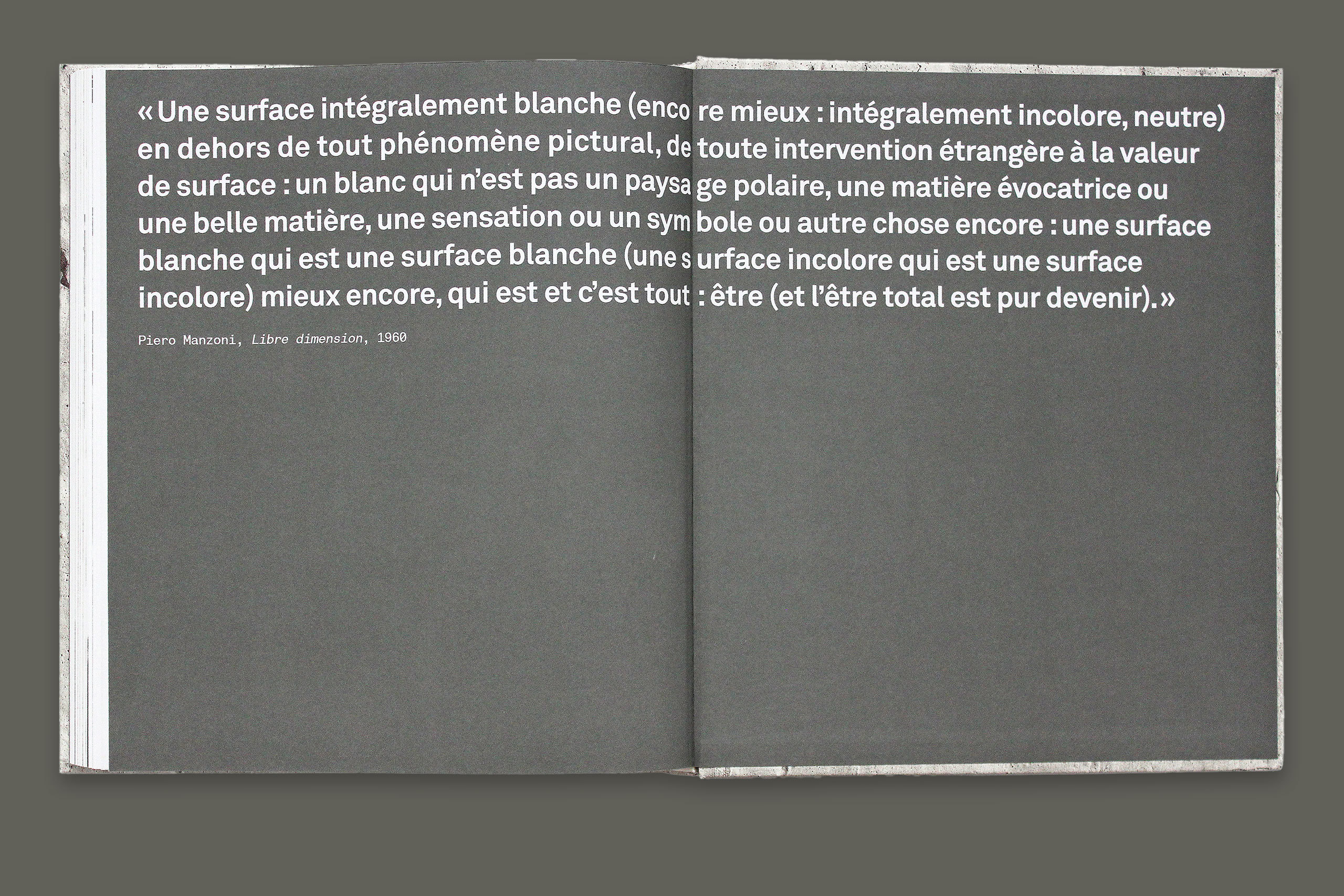 Manzoni gris2.xlarge