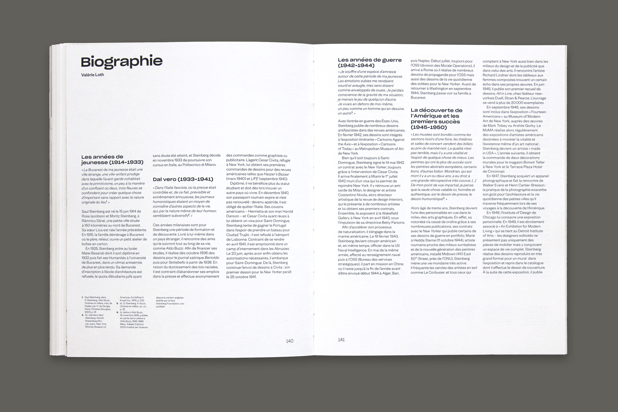 Steinberg gris7.xlarge