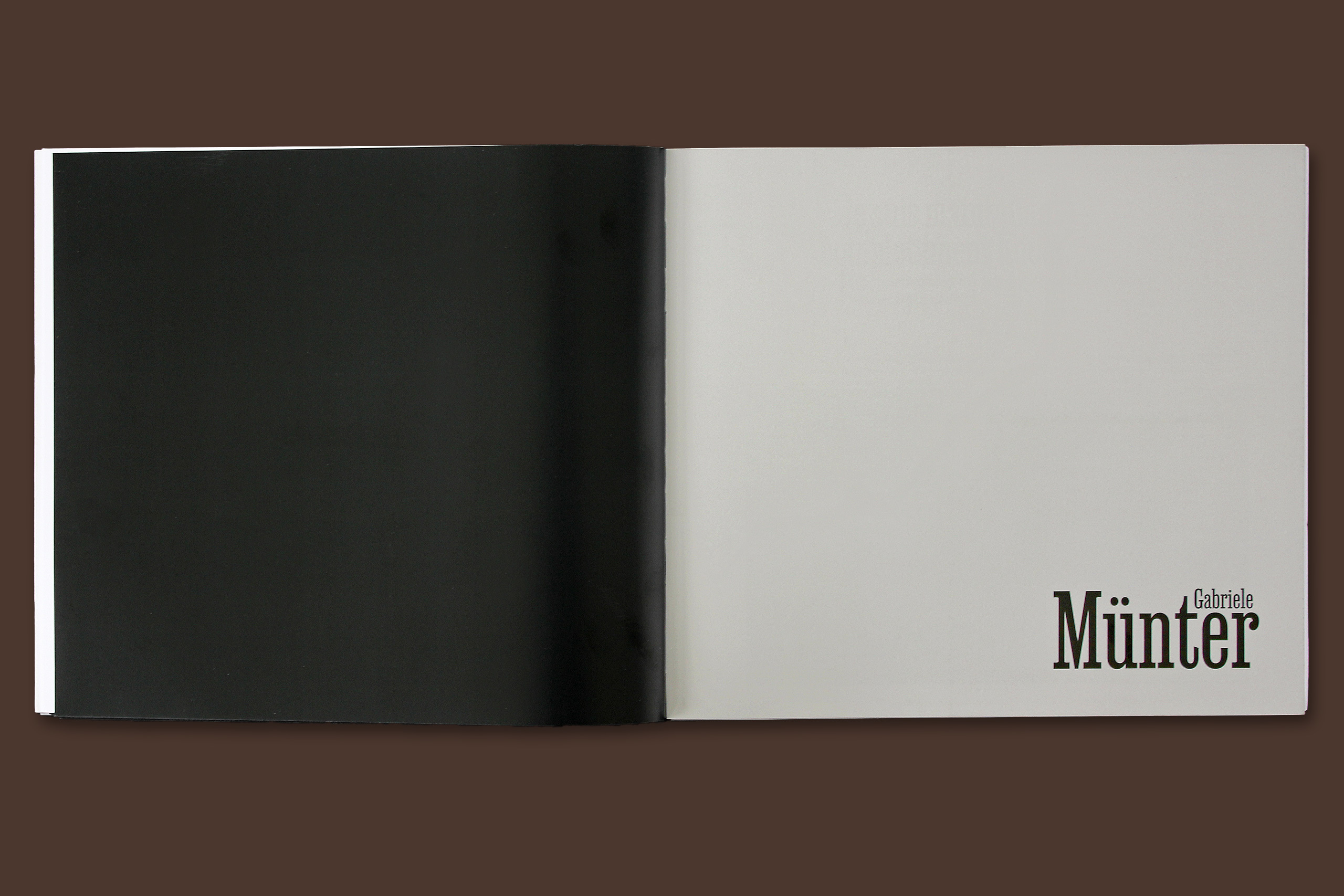 Munter welty gris2.xlarge