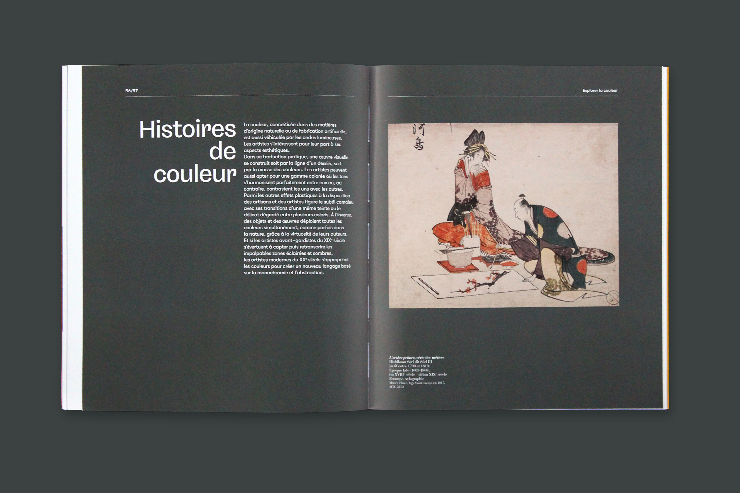 Cat couleur gris2.xlarge