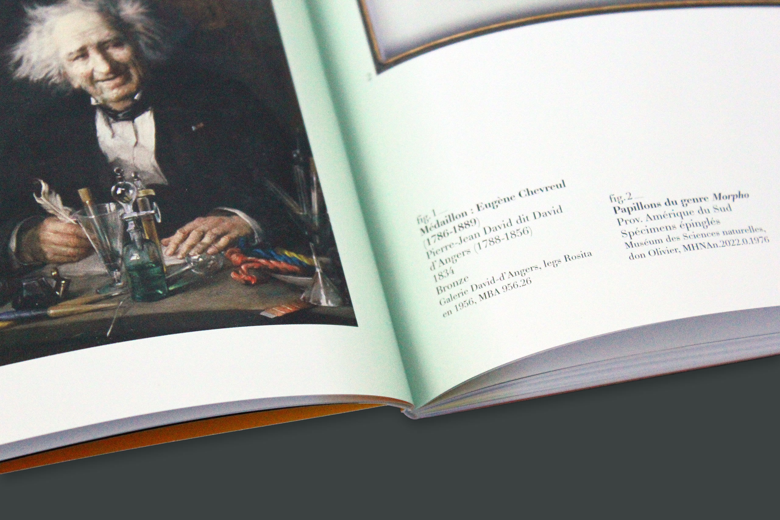 Cat couleur gris4.xlarge