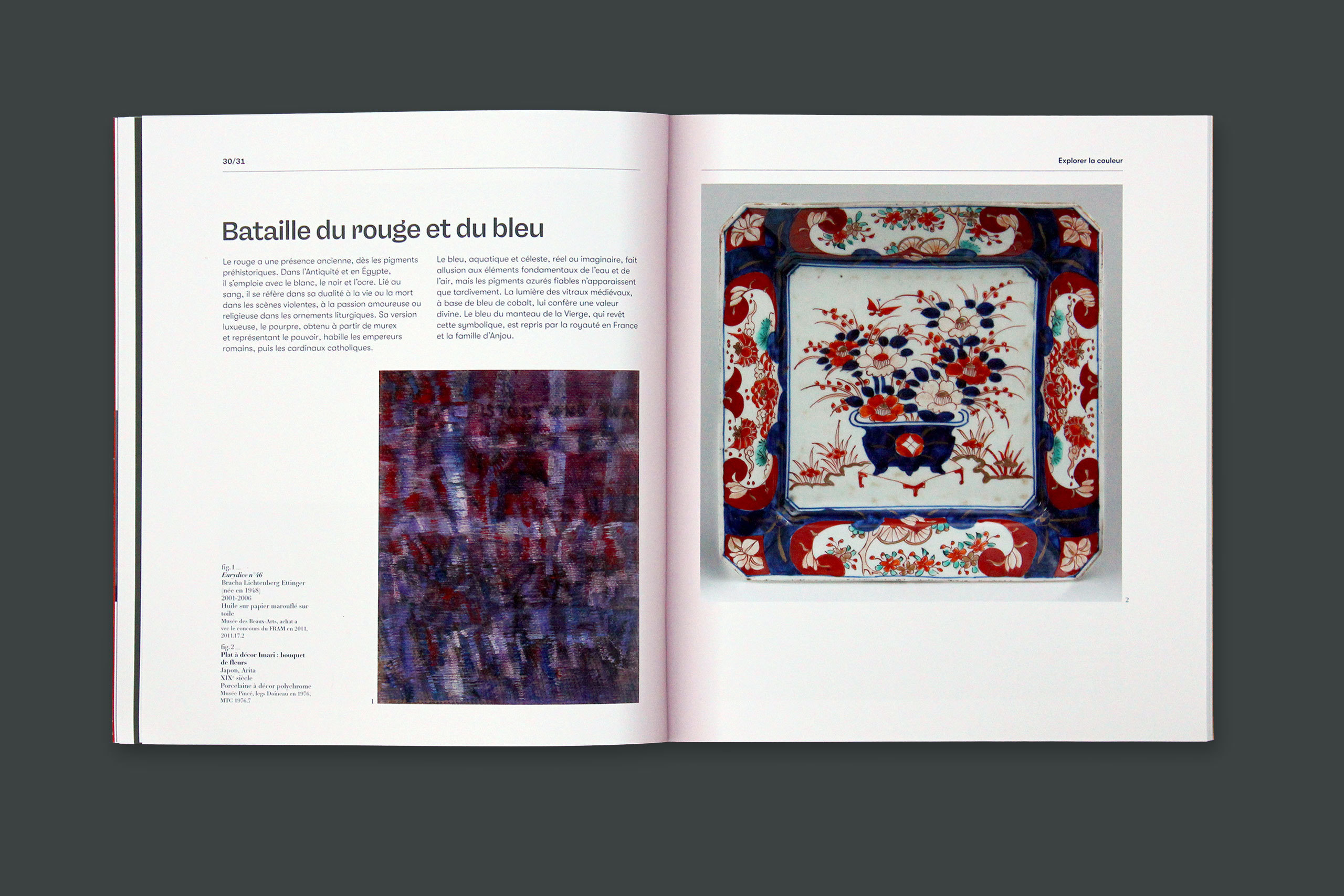 Cat couleur gris5.xlarge