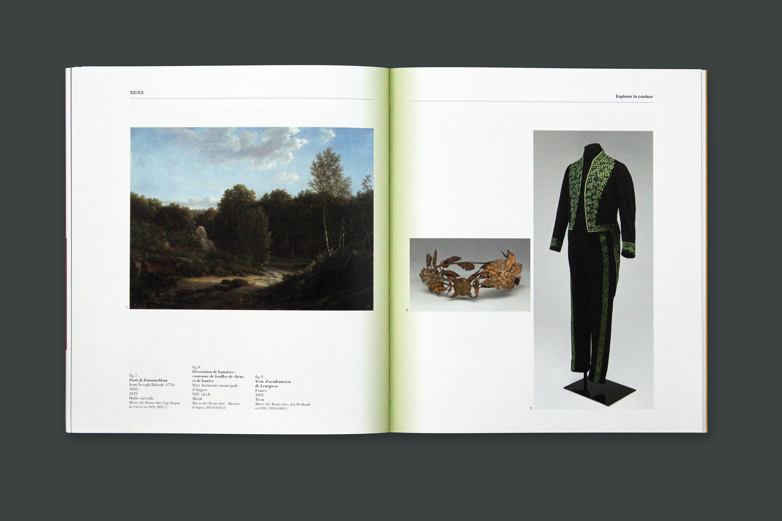 Cat couleur gris6.xlarge