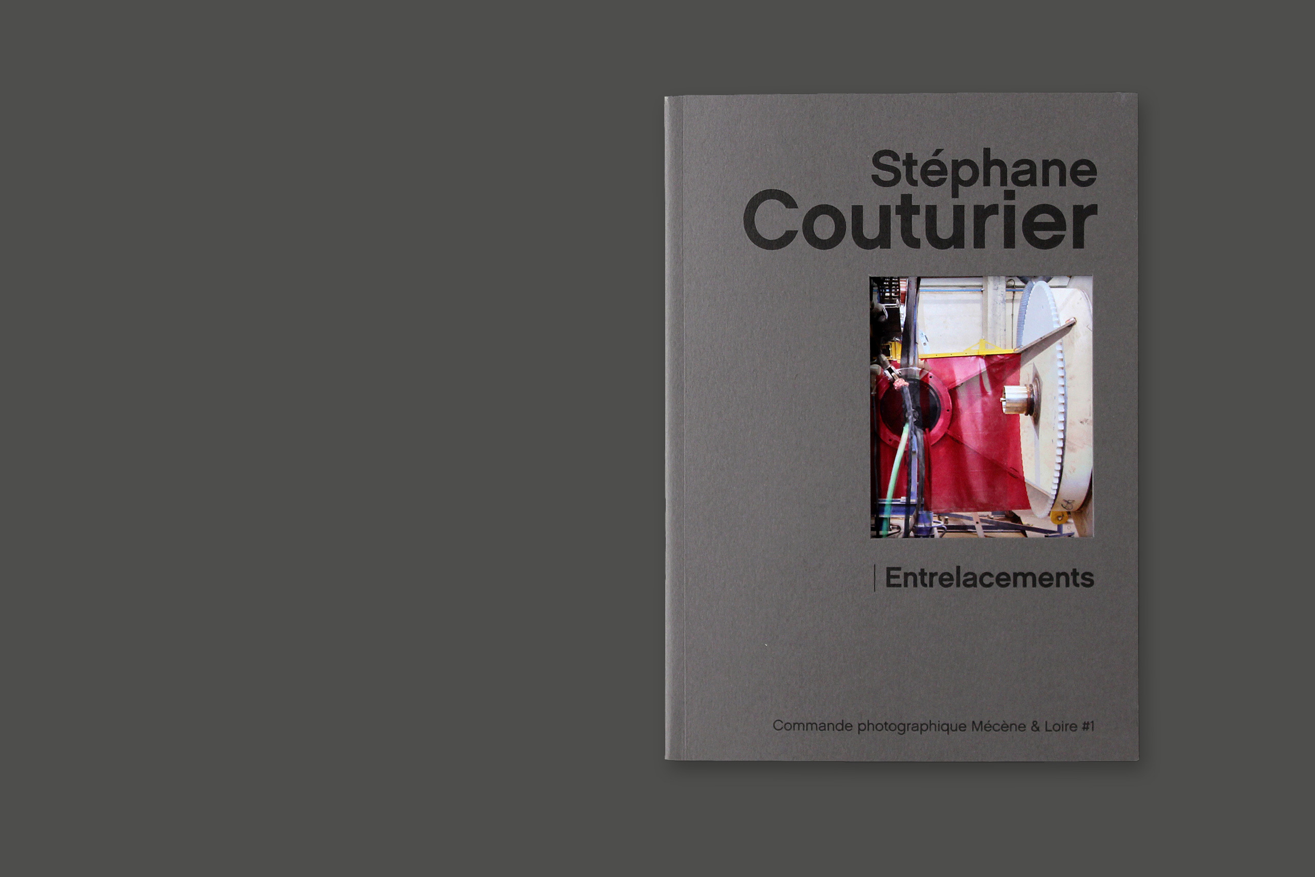 Cat couturier gris1.xlarge