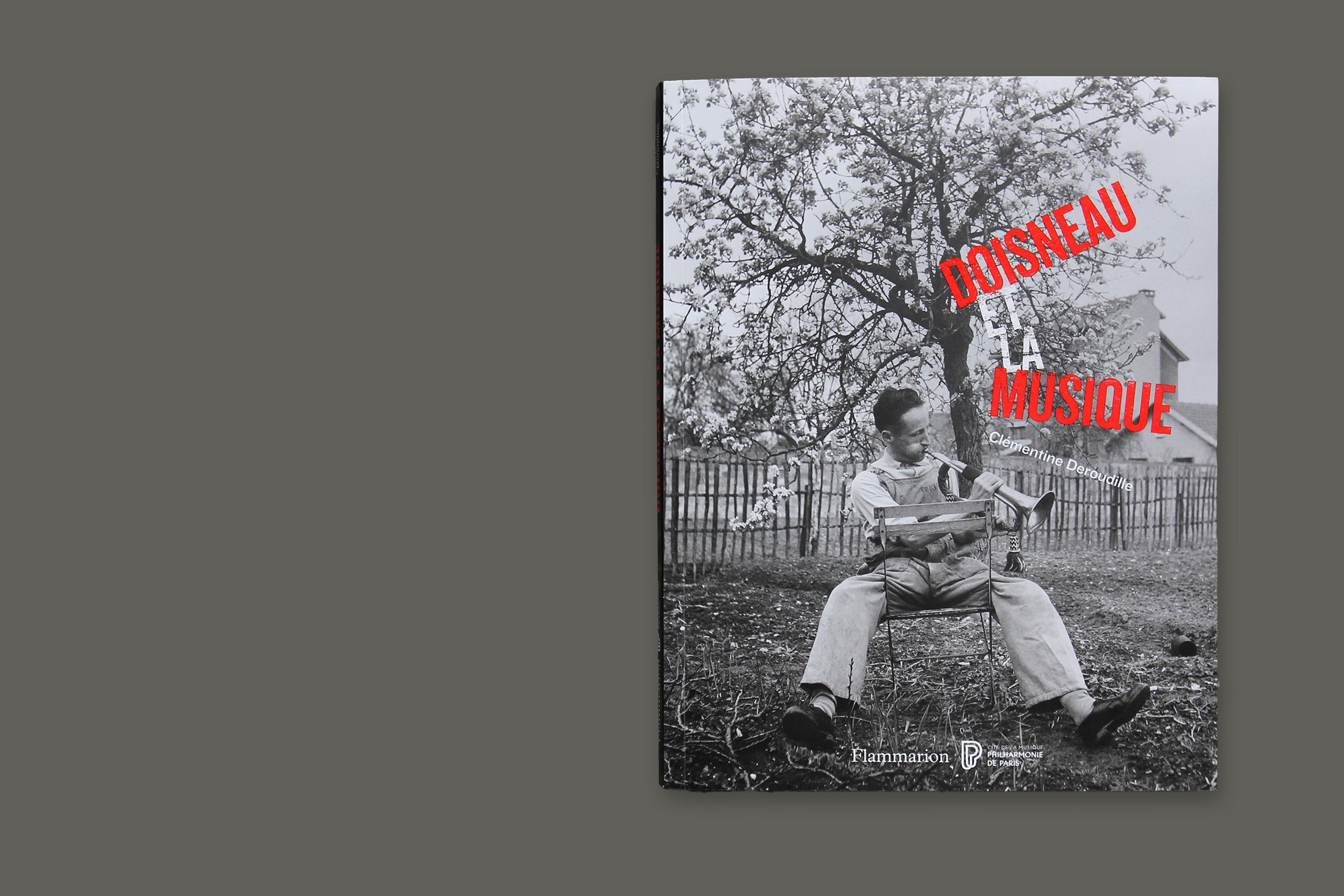 Cat doisneau gris1.xlarge