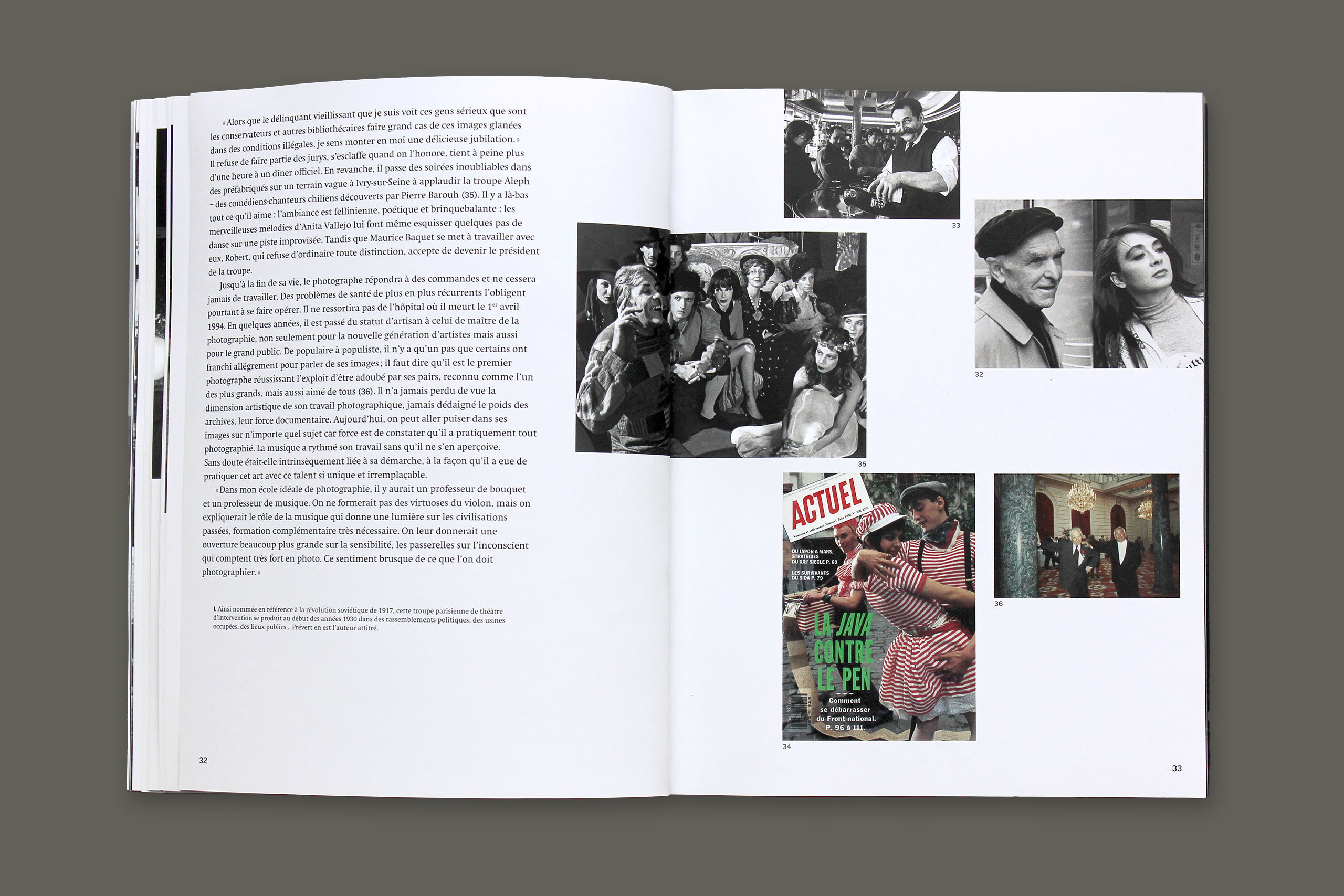 Cat doisneau gris5.xlarge