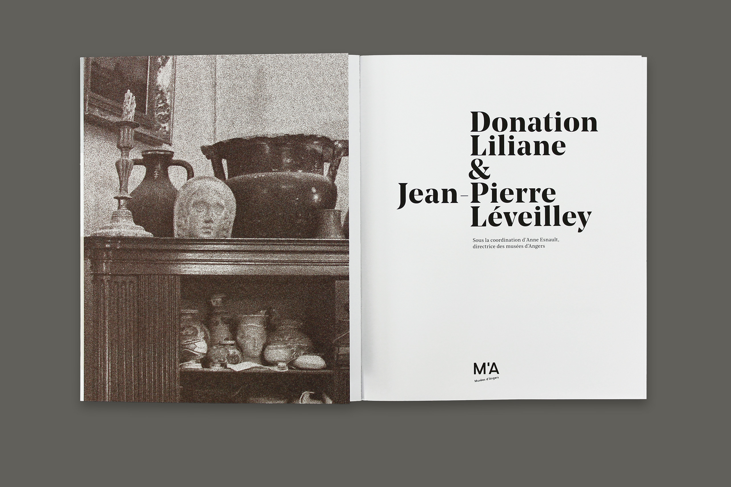 Leveilley gris2.xlarge