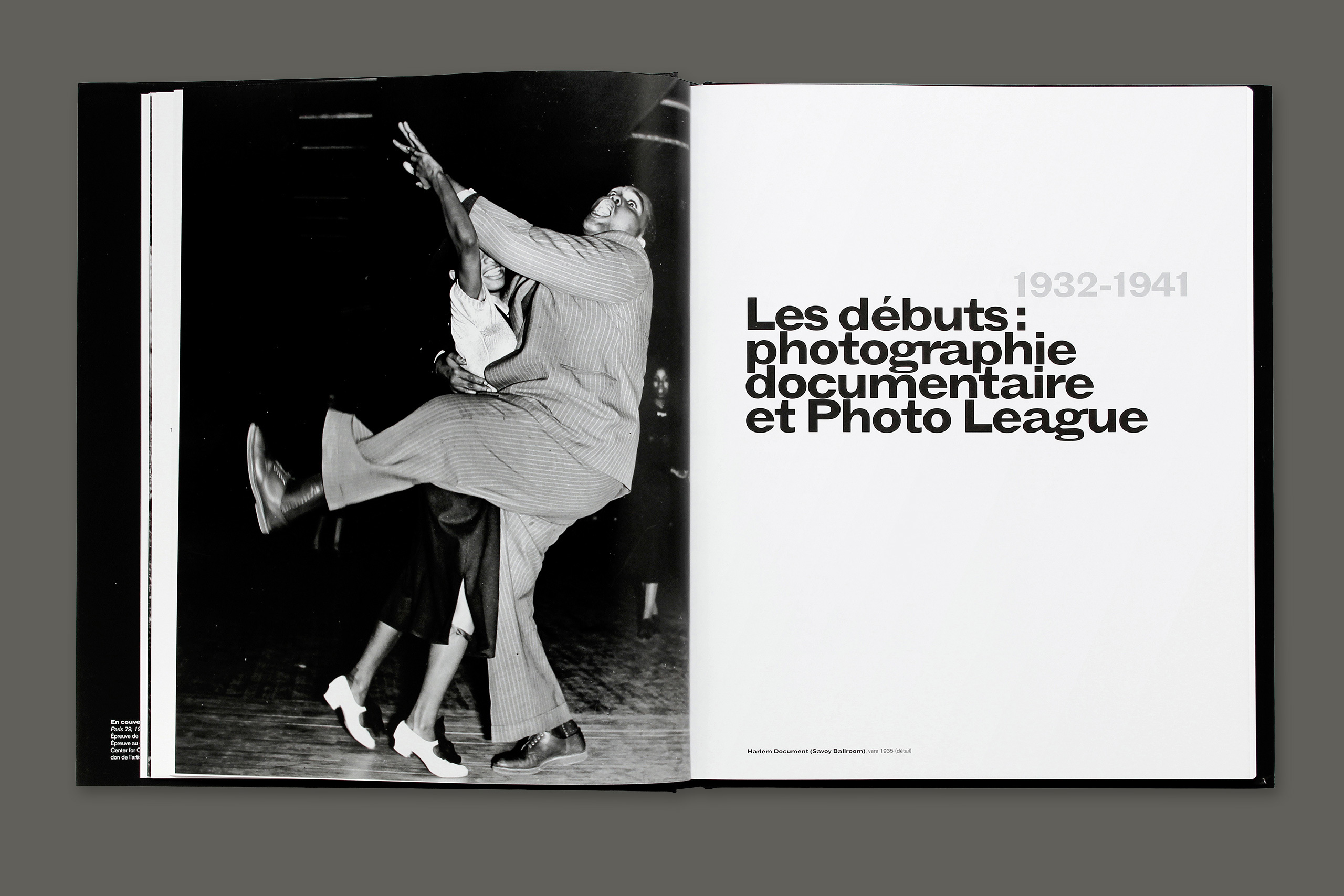 Siskind gris ok2.xlarge