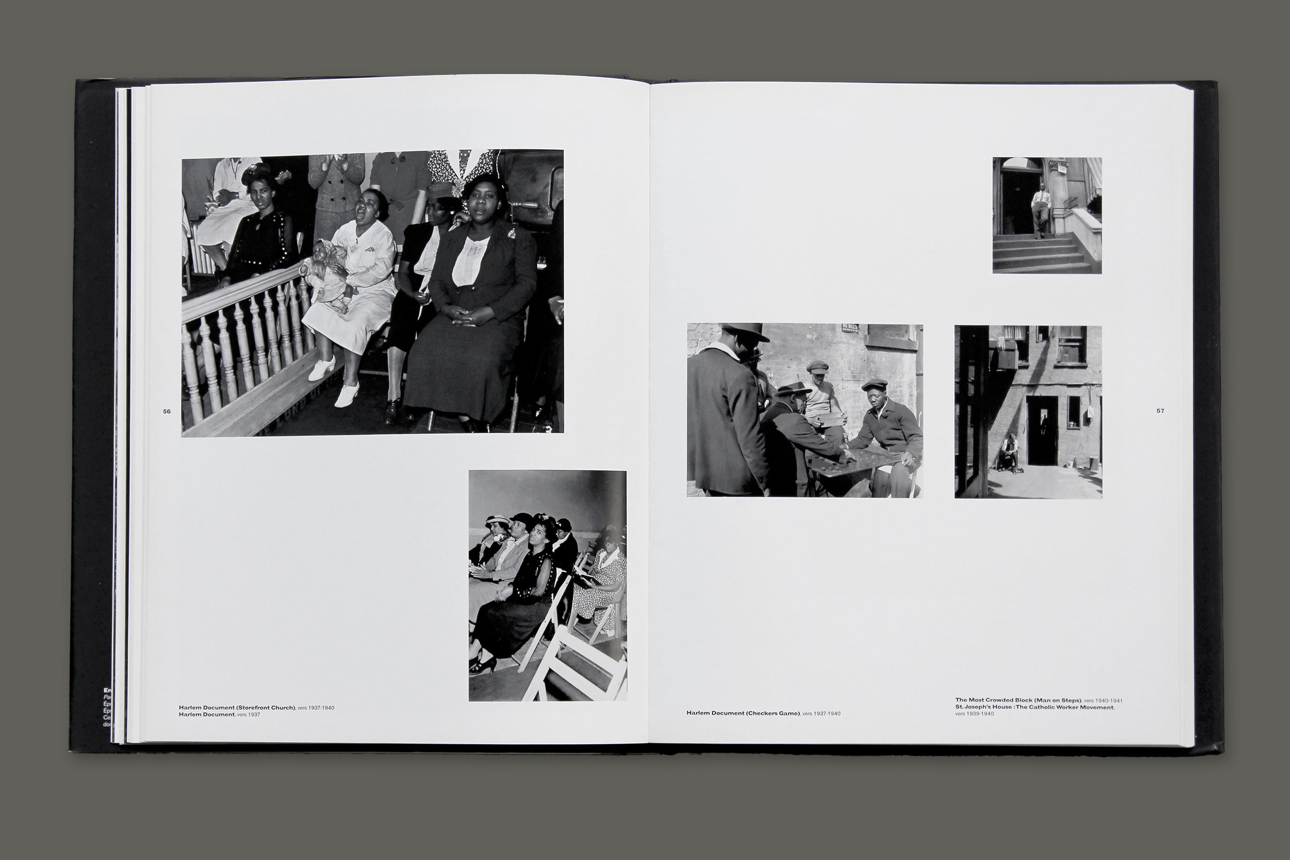 Siskind gris ok3.xlarge