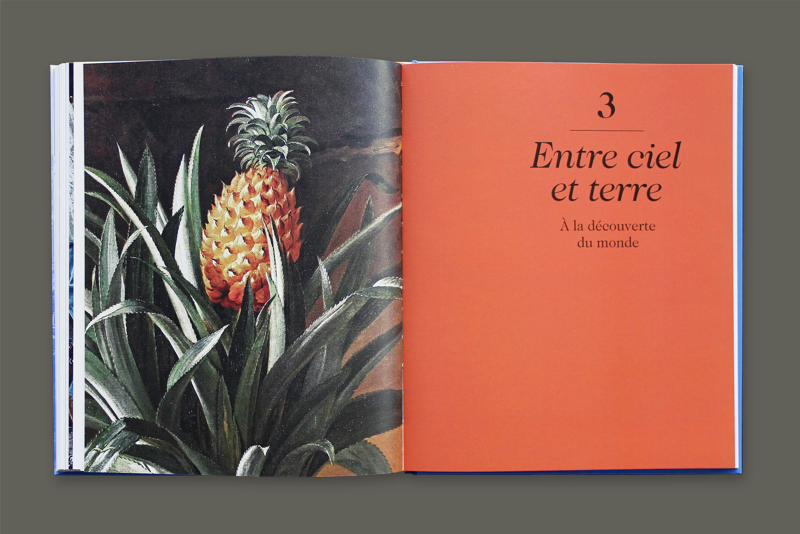 Versailles monde gris4.xlarge