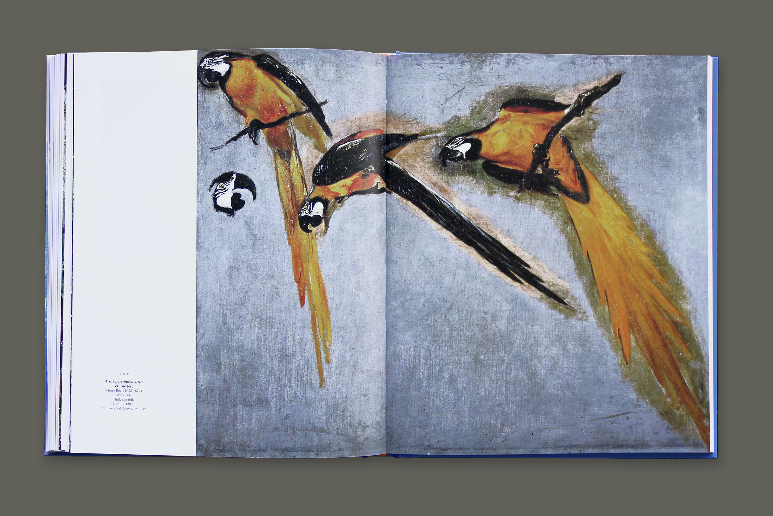 Versailles monde gris7.xlarge